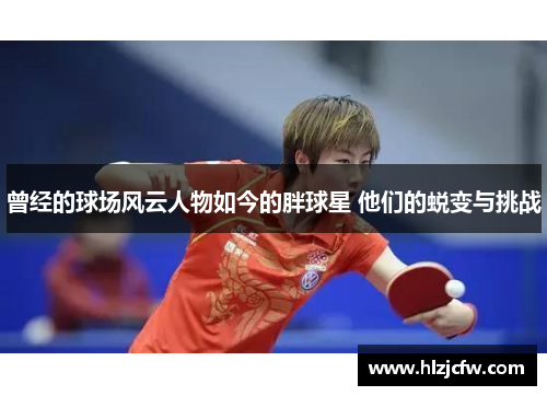 曾经的球场风云人物如今的胖球星 他们的蜕变与挑战