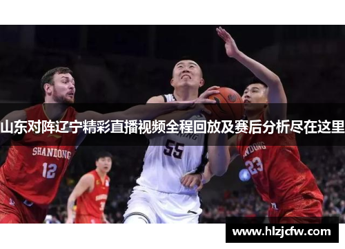 山东对阵辽宁精彩直播视频全程回放及赛后分析尽在这里