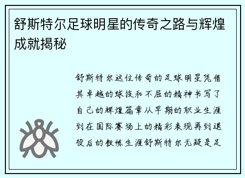 舒斯特尔足球明星的传奇之路与辉煌成就揭秘